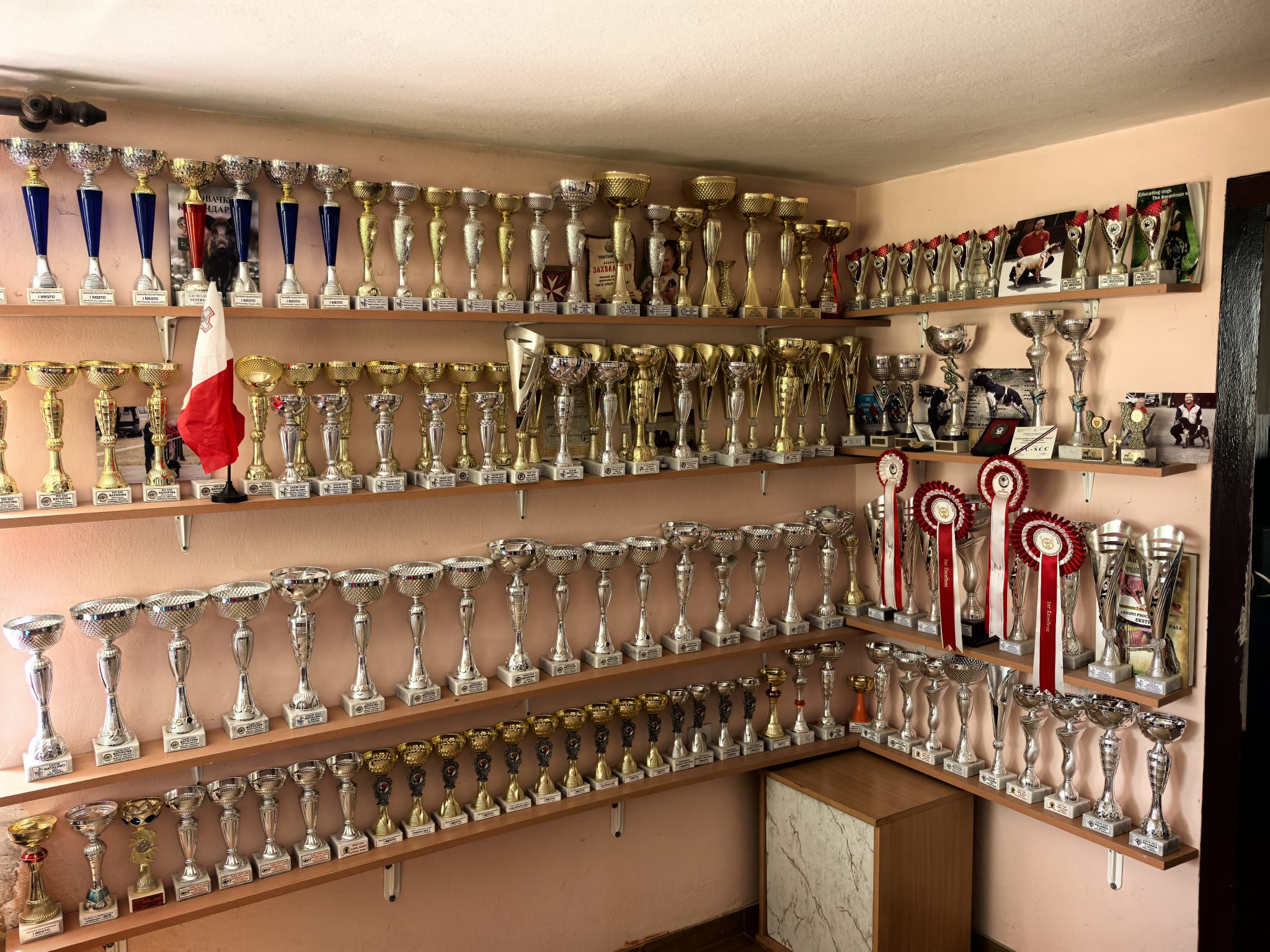 Trofeji