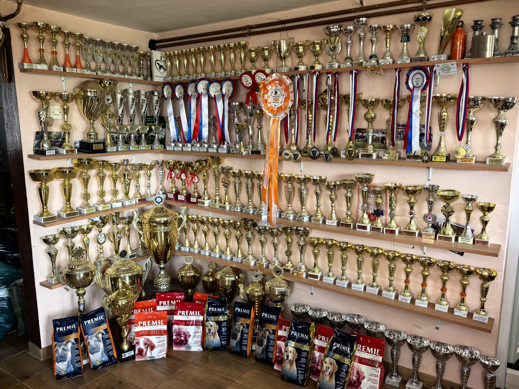 Trofeji 2